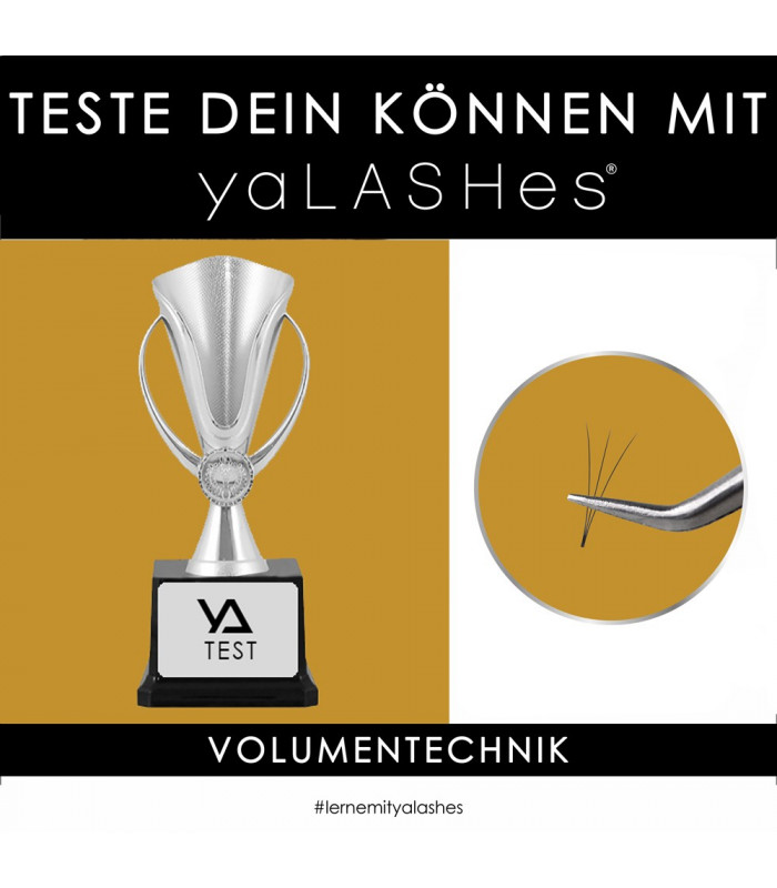 Обучение Тест: "Проверь себя с yaLASHes" (Объёмы) Обучение Тест: "Проверь себя с yaLASHes" (Объёмы)