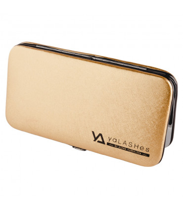 Tweezers Tweezer case gold