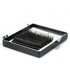 Wimpern Wimpern BEAUTIER Spectrum Type1