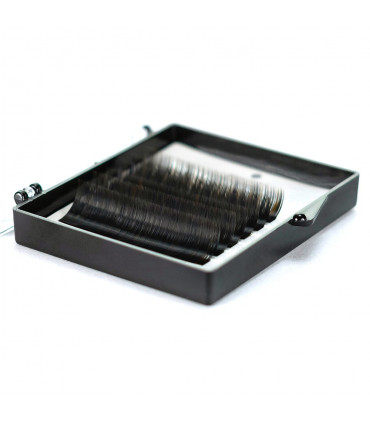 Ресницы Ресницы BEAUTIER Spectrum Type1