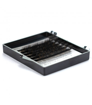 Wimpern Wimpern BEAUTIER Spectrum Type1