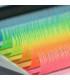 Wimpern Wimpern BEAUTIER Neon mix