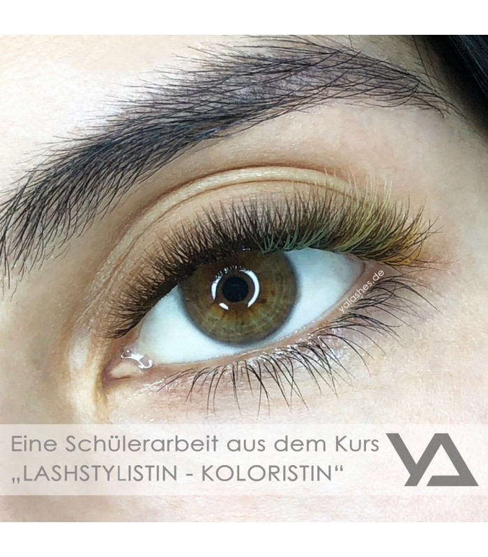 Schulungen Der exklusive Kombikurs: "Lashstylistin - Visagistin + Coloristin" Schulungen Der exklusive Kombikurs: "Lashstylistin - Visagistin + Coloristin"