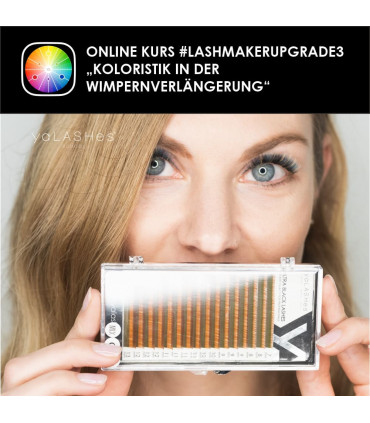 Online Courses Online marathon "LASHMAKER UPGRADE" for COLOR eyelash extensions