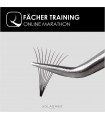 Online Fan and Volume Training Course „Lashmaker Upgrade“.