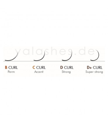 Wimpern Wimpern BEAUTIER B, C, D, D+