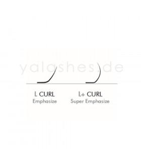 Eyelashes Eyelashes BEAUTIER L, L+,V