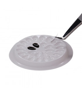 Accessory Pallet for glue 5 pcs.