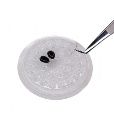 Accessory Pallet for glue 5 pcs.