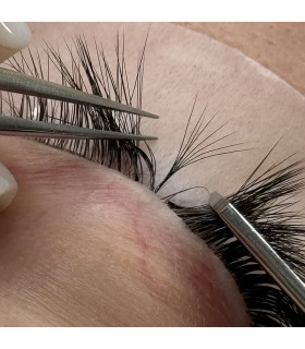 Wimpern Wimpern Fächer BEAUTIER Prime Made