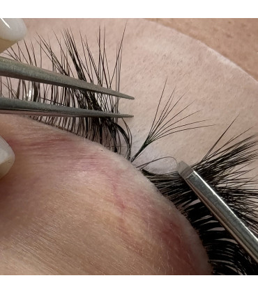 Eyelashes Eyelashes Fans BEAUTIER Prime Made