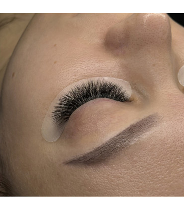 Wimpern Wimpern Fächer BEAUTIER Prime Made