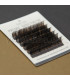 Eyelashes Eyelashes BEAUTIER Spectrum Type1