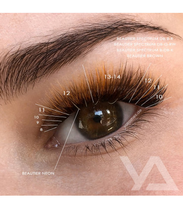 Wimpern Wimpern BEAUTIER Spectrum Type1