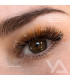 Ресницы Ресницы BEAUTIER коричневые MIX