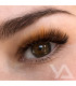 Ресницы Ресницы BEAUTIER коричневые MIX