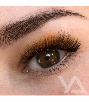 Eyelashes Eyelashes BEAUTIER BROWN