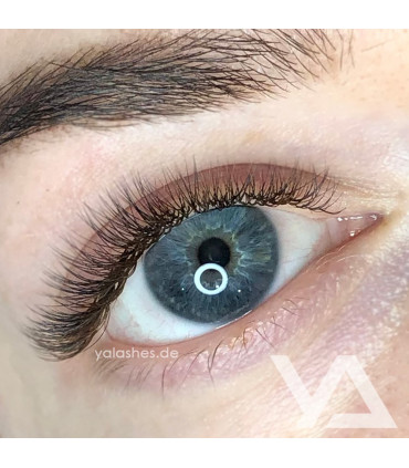 Wimpern Wimpern BEAUTIER Spectrum Type1