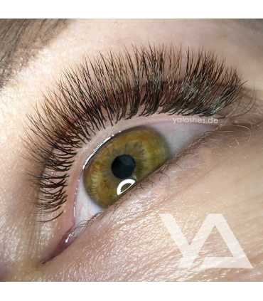 Wimpern Wimpern BEAUTIER Spectrum Type1