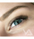 Eyelashes Eyelashes BEAUTIER BROWN