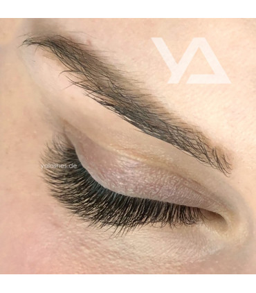 Eyelashes Eyelashes BEAUTIER BROWN