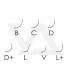 Eyelashes Eyelashes BEAUTIER B, C, D, D+