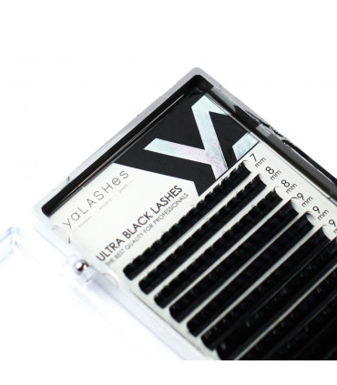 Eyelashes Eyelashes yaLASHes KIM