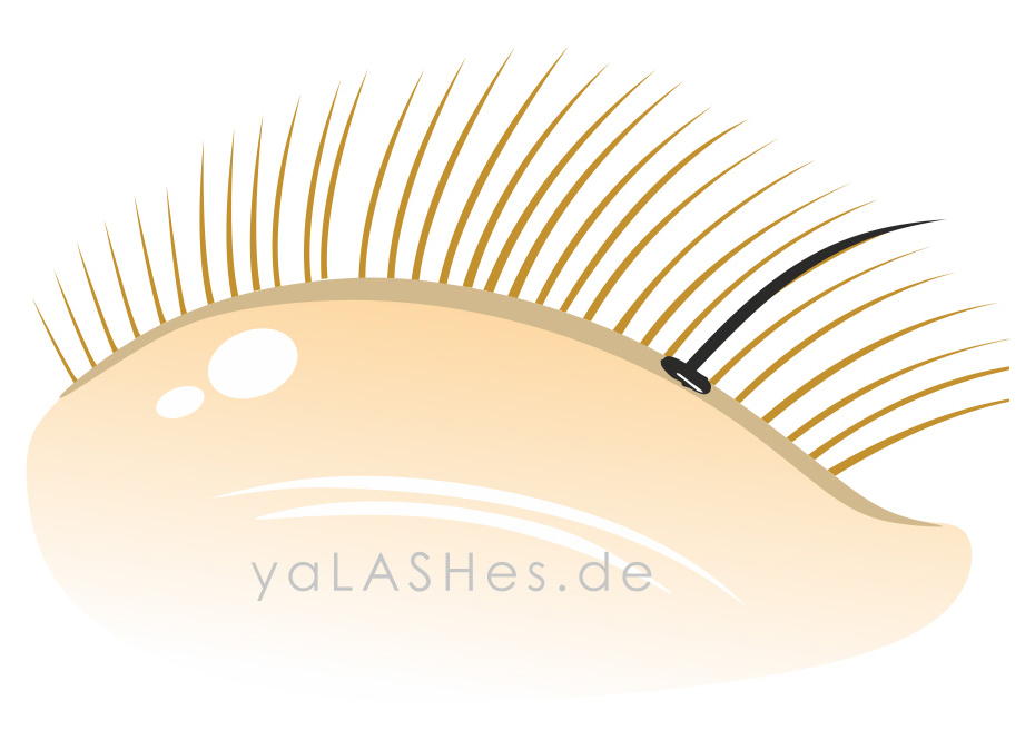 Was sind „Nägel“ bei der Wimpernverlängerung?