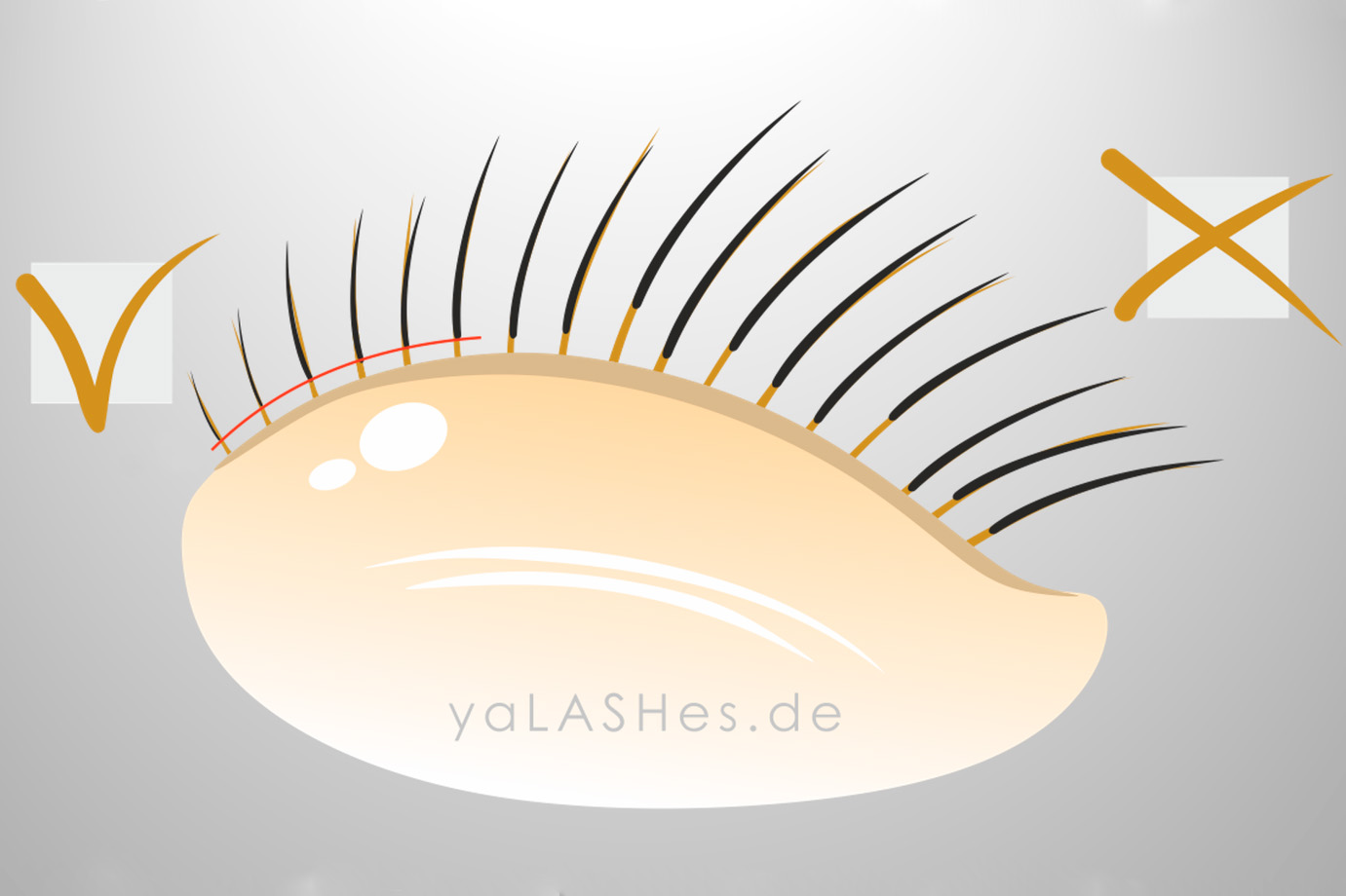 Warum der „Abstand“ bei der Wimpernverlängerung keine Kleinigkeit ist – sondern die Basis für sicheres Arbeiten