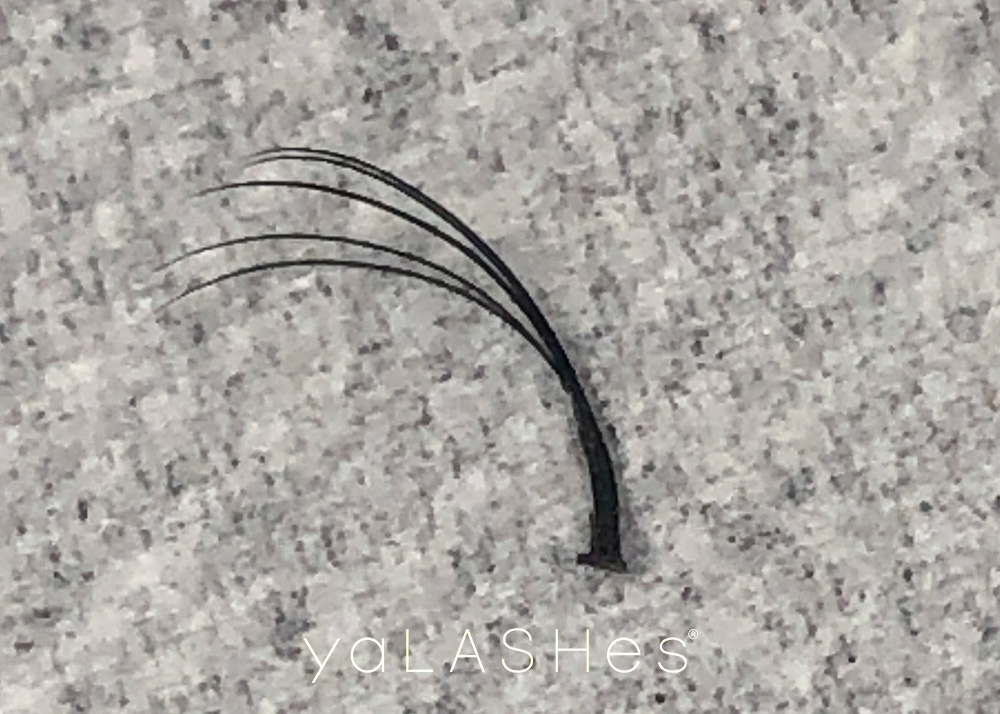 Was sind „Nägel“ bei der Wimpernverlängerung?