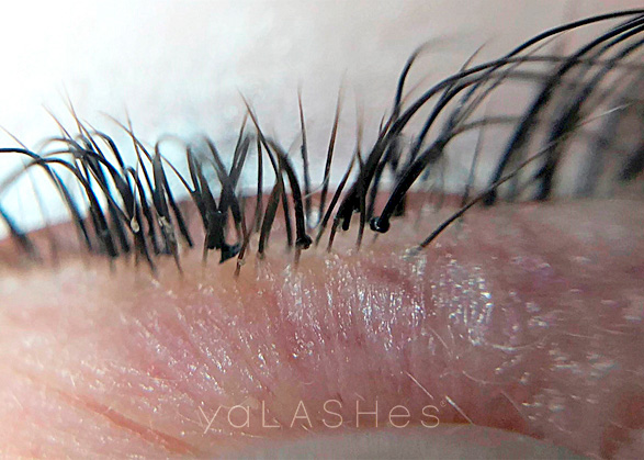 Was sind „Nägel“ bei der Wimpernverlängerung?