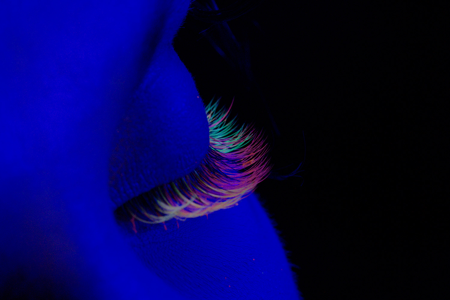 Das sollte jede Lashstylistin wissen: Wie hängen die Wimpernlänge und die Augengesundheit zusammen?