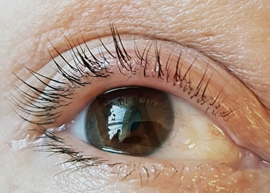 Was sind Wimpernreihen – und warum sind sie so wichtig?