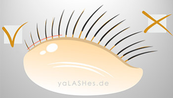 Warum der „Abstand“ bei der Wimpernverlängerung keine Kleinigkeit ist – sondern die Basis für sicheres Arbeiten