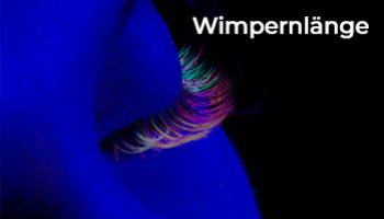 Das sollte jede Lashstylistin wissen: Wie hängen die Wimpernlänge und die Augengesundheit zusammen?